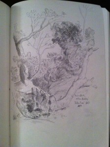 B. Lindblad after "Fallen Tree, Peter Paul Rubens 1617